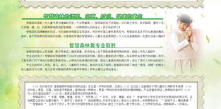 智慧森林 童裝品牌新勢力，攜手遠(yuǎn)大恒通共創(chuàng)未來