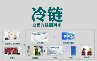 壹天一參史紅新 破解生鮮O2O困局，打造高端滋補(bǔ)品國內(nèi)貿(mào)易代理新標(biāo)桿