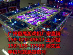 探索廣州市番禺區(qū)大龍番躍動(dòng)漫產(chǎn)品開發(fā)部 8人及10人打魚機(jī)的專業(yè)制造商